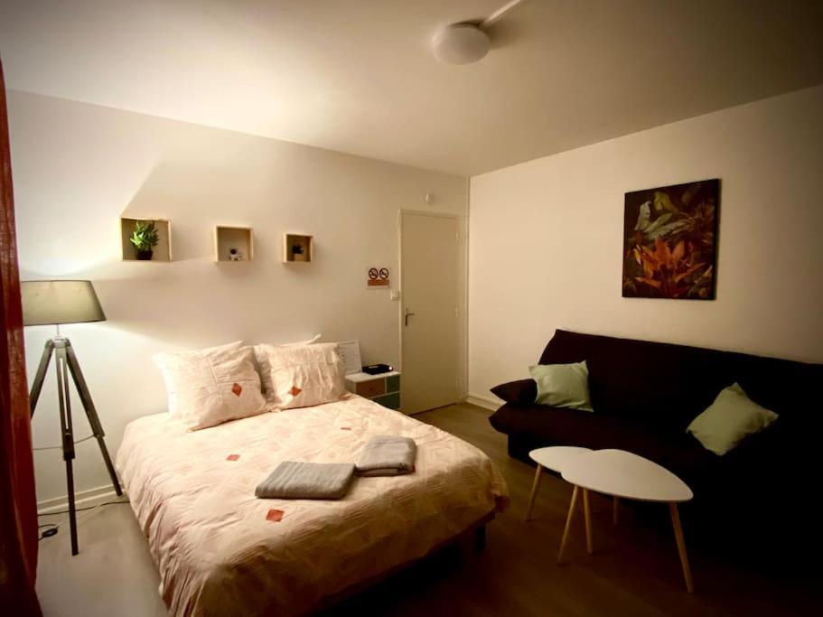 T2 Cosy Proche Hopital + Parking Gratuit Sur Place Auxerre Eksteriør billede